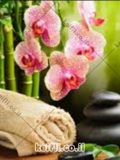 עיסוי מפנק ברמת גן 